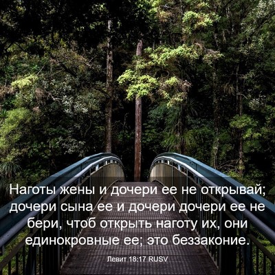 Picture 03 - Левит 18:17 RUSV - Наготы жены и дочери ее не - Bible Verse Picture