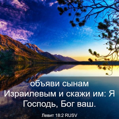 Picture 03 - Левит 18:2 RUSV - объяви сынам Израилевым и - Bible Verse Picture