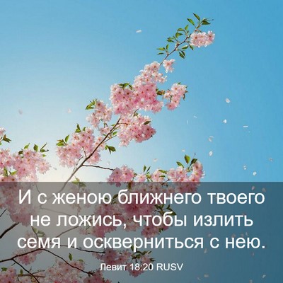 Picture 03 - Левит 18:20 RUSV - И с женою ближнего твоего - Bible Verse Picture
