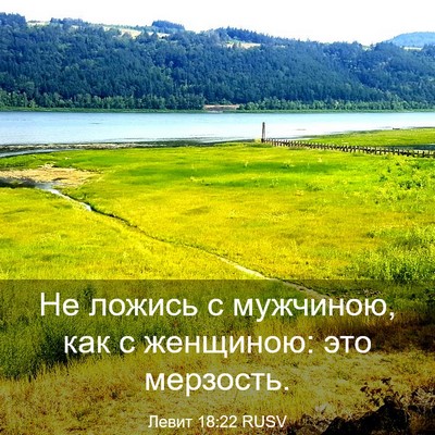 Picture 03 - Левит 18:22 RUSV - Не ложись с мужчиною, как с - Bible Verse Picture