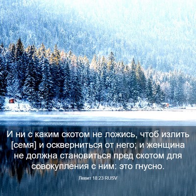 Picture 03 - Левит 18:23 RUSV - И ни с каким скотом не - Bible Verse Picture