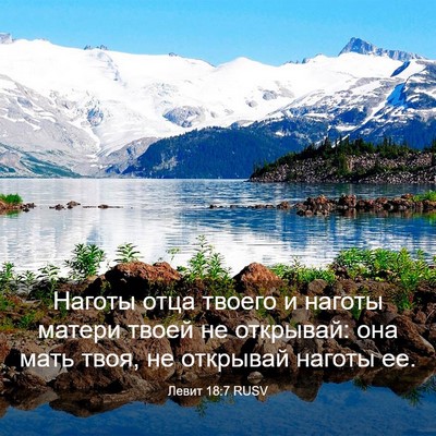 Picture 03 - Левит 18:7 RUSV - Наготы отца твоего и - Bible Verse Picture