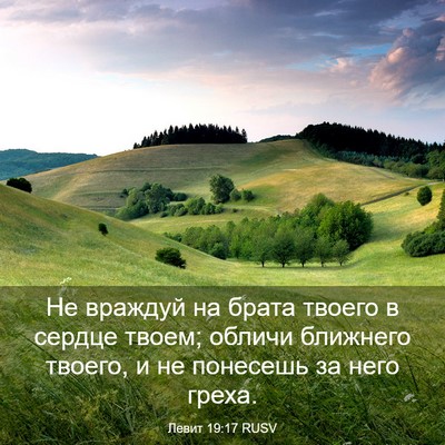 Picture 03 - Левит 19:17 RUSV - Не враждуй на брата твоего - Bible Verse Picture