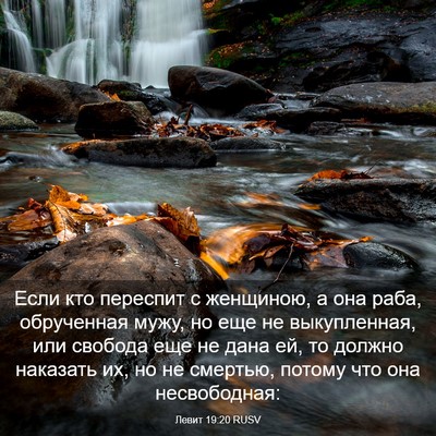 Picture 03 - Левит 19:20 RUSV - Если кто переспит с - Bible Verse Picture
