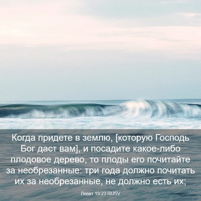 Picture 03 - Левит 19:23 RUSV - Когда придете в землю, - Bible Verse Picture