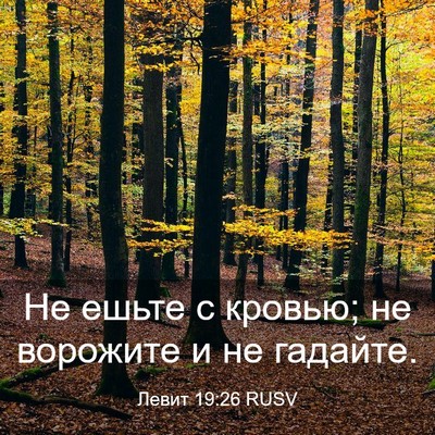 Picture 03 - Левит 19:26 RUSV - Не ешьте с кровью; не - Bible Verse Picture