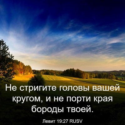 Picture 03 - Левит 19:27 RUSV - Не стригите головы вашей - Bible Verse Picture