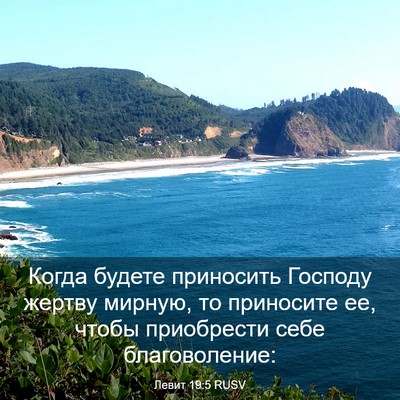 Picture 03 - Левит 19:5 RUSV - Когда будете приносить - Bible Verse Picture