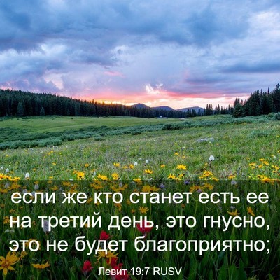 Picture 03 - Левит 19:7 RUSV - если же кто станет есть ее - Bible Verse Picture