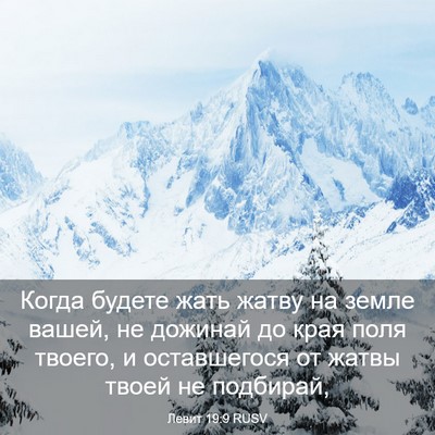 Picture 03 - Левит 19:9 RUSV - Когда будете жать жатву на - Bible Verse Picture