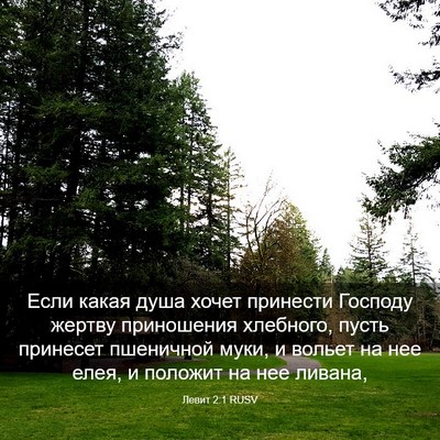Picture 03 - Левит 2:1 RUSV - Если какая душа хочет - Bible Verse Picture