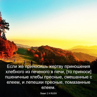 Picture 03 - Левит 2:4 RUSV - Если же приносишь жертву - Bible Verse Picture
