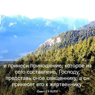 Picture 03 - Левит 2:8 RUSV - и принеси приношение, - Bible Verse Picture