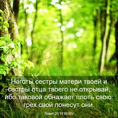 Picture 03 - Левит 20:19 RUSV - Наготы сестры матери твоей - Bible Verse Picture