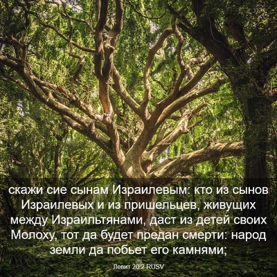 Picture 03 - Левит 20:2 RUSV - скажи сие сынам - Bible Verse Picture