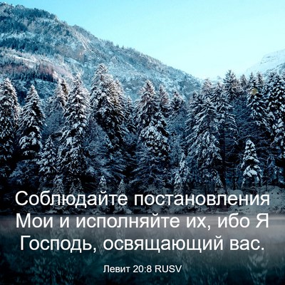 Picture 03 - Левит 20:8 RUSV - Соблюдайте постановления - Bible Verse Picture