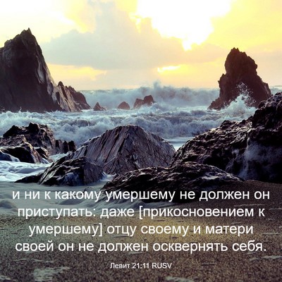 Picture 03 - Левит 21:11 RUSV - и ни к какому умершему не - Bible Verse Picture