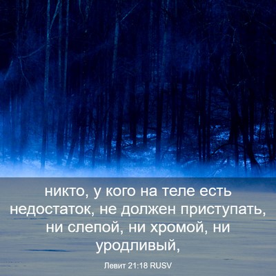 Picture 03 - Левит 21:18 RUSV - никто, у кого на теле есть - Bible Verse Picture