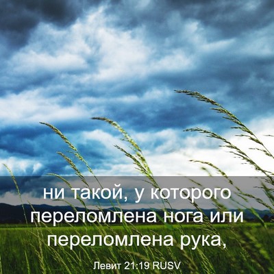 Picture 03 - Левит 21:19 RUSV - ни такой, у которого - Bible Verse Picture
