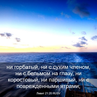 Picture 03 - Левит 21:20 RUSV - ни горбатый, ни с сухим - Bible Verse Picture