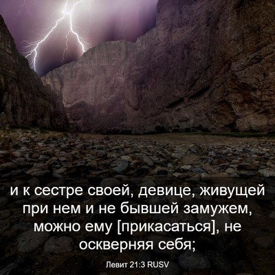 Picture 03 - Левит 21:3 RUSV - и к сестре своей, девице, - Bible Verse Picture