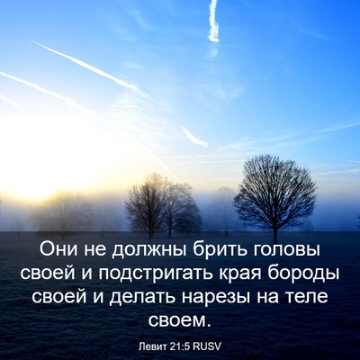 Picture 03 - Левит 21:5 RUSV - Они не должны брить головы - Bible Verse Picture