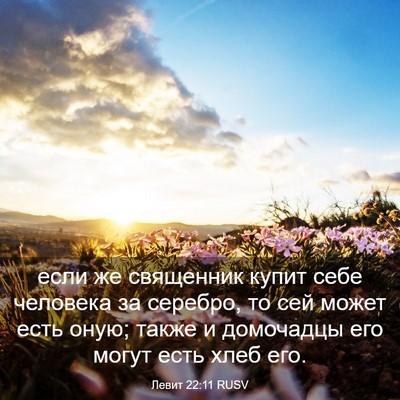 Picture 03 - Левит 22:11 RUSV - если же священник купит - Bible Verse Picture