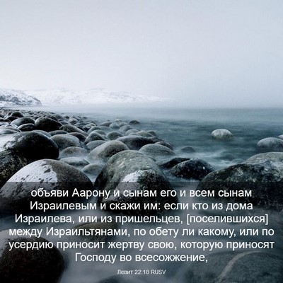 Picture 03 - Левит 22:18 RUSV - объяви Аарону и сынам его и - Bible Verse Picture
