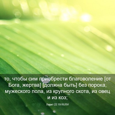 Picture 03 - Левит 22:19 RUSV - то, чтобы сим приобрести - Bible Verse Picture
