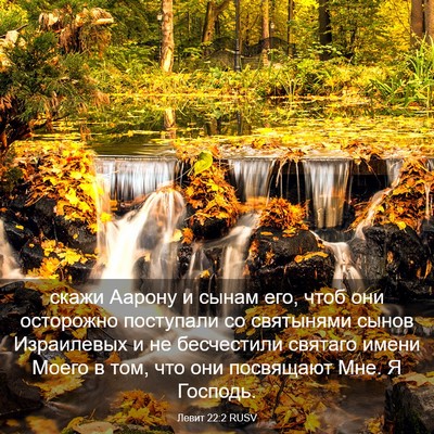 Picture 03 - Левит 22:2 RUSV - скажи Аарону и сынам его, - Bible Verse Picture