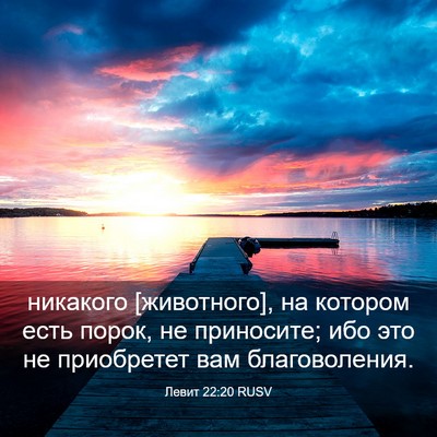 Picture 03 - Левит 22:20 RUSV - никакого [животного], на - Bible Verse Picture