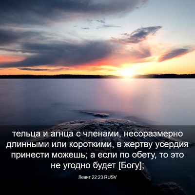 Picture 03 - Левит 22:23 RUSV - тельца и агнца с членами, - Bible Verse Picture