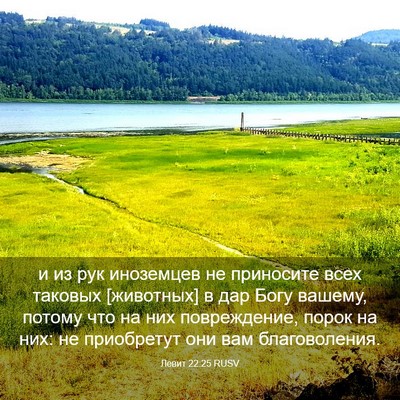 Picture 03 - Левит 22:25 RUSV - и из рук иноземцев не - Bible Verse Picture