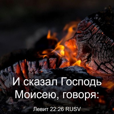 Picture 03 - Левит 22:26 RUSV - И сказал Господь Моисею, - Bible Verse Picture