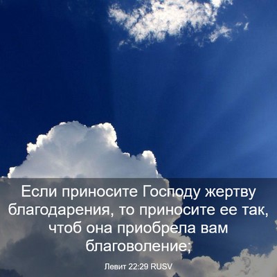 Picture 03 - Левит 22:29 RUSV - Если приносите Господу - Bible Verse Picture