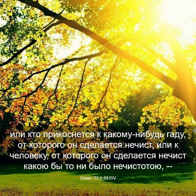 Picture 03 - Левит 22:5 RUSV - или кто прикоснется к - Bible Verse Picture