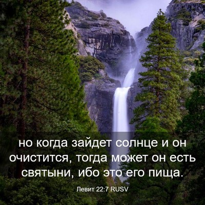 Picture 03 - Левит 22:7 RUSV - но когда зайдет солнце и он - Bible Verse Picture