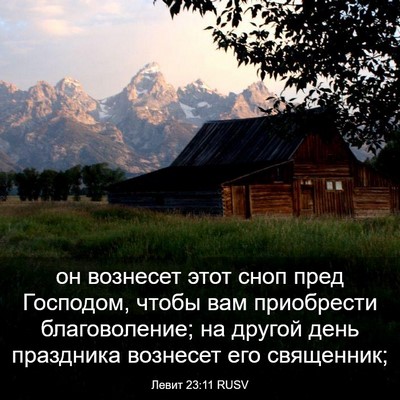 Picture 03 - Левит 23:11 RUSV - он вознесет этот сноп пред - Bible Verse Picture
