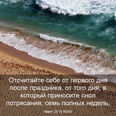 Picture 03 - Левит 23:15 RUSV - Отсчитайте себе от первого - Bible Verse Picture