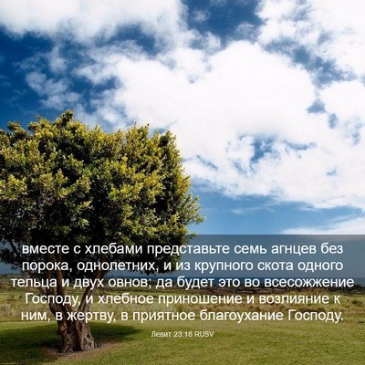 Picture 03 - Левит 23:18 RUSV - вместе с хлебами - Bible Verse Picture