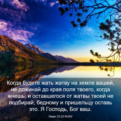 Picture 03 - Левит 23:22 RUSV - Когда будете жать жатву на - Bible Verse Picture