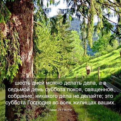 Picture 03 - Левит 23:3 RUSV - шесть дней можно делать - Bible Verse Picture