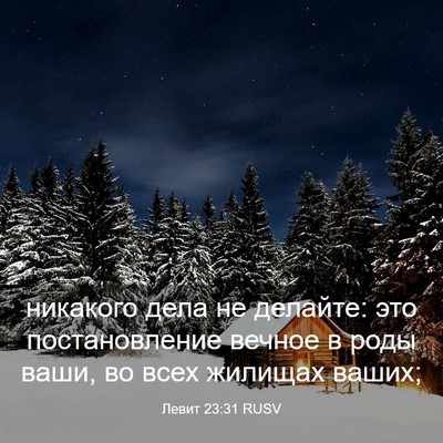 Picture 03 - Левит 23:31 RUSV - никакого дела не делайте: - Bible Verse Picture