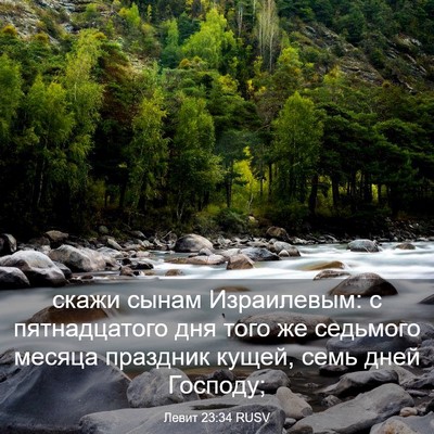 Picture 03 - Левит 23:34 RUSV - скажи сынам Израилевым: с - Bible Verse Picture