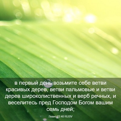 Picture 03 - Левит 23:40 RUSV - в первый день возьмите - Bible Verse Picture
