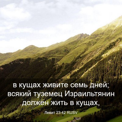Picture 03 - Левит 23:42 RUSV - в кущах живите семь дней; - Bible Verse Picture