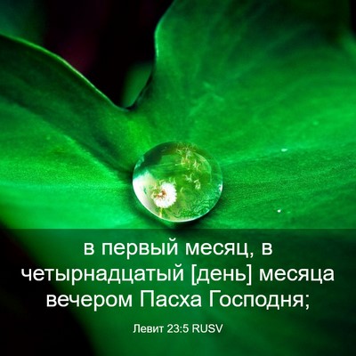 Picture 03 - Левит 23:5 RUSV - в первый месяц, в - Bible Verse Picture