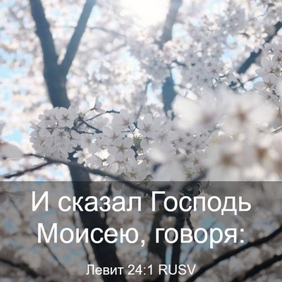 Picture 03 - Левит 24:1 RUSV - И сказал Господь Моисею, - Bible Verse Picture
