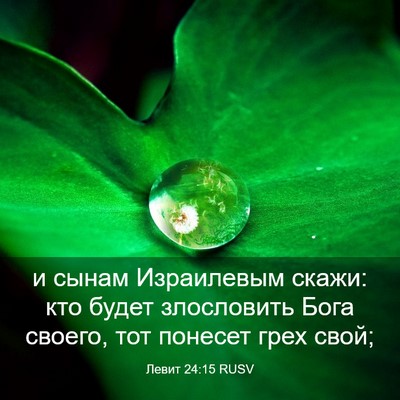 Picture 03 - Левит 24:15 RUSV - и сынам Израилевым скажи: - Bible Verse Picture