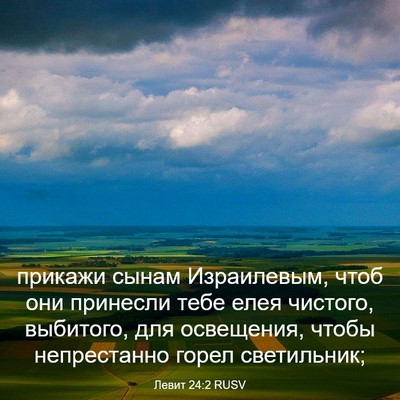 Picture 03 - Левит 24:2 RUSV - прикажи сынам Израилевым, - Bible Verse Picture